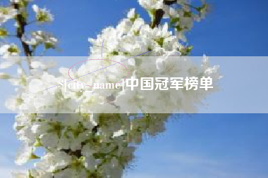中卫中国冠军榜单