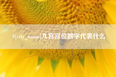 中卫九宫宫位数字代表什么