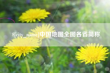 中卫中国地图全图各省简称