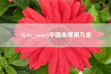 中卫中国金牌第九金