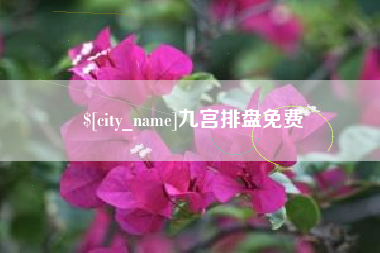 中卫九宫排盘免费