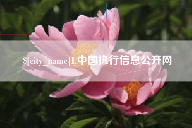 中卫1.中国执行信息公开网