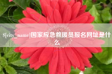 中卫国家应急救援员报名网址是什么