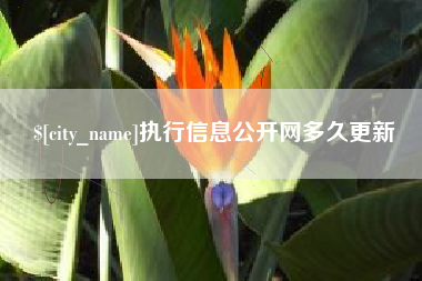 中卫执行信息公开网多久更新