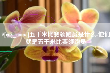 中卫五千米比赛领跑员是什么-他们就是五千米比赛领跑员