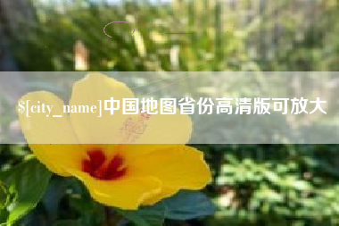 中卫中国地图省份高清版可放大
