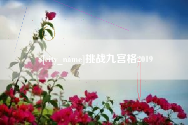 中卫挑战九宫格2019