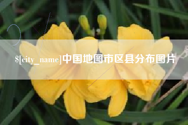中卫中国地图市区县分布图片