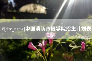 中卫中国消防救援学院招生计划表