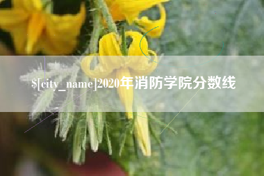 中卫2020年消防学院分数线