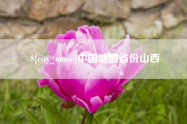 中卫中国地图省份山西