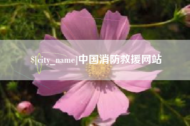 中卫中国消防救援网站