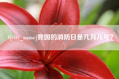 中卫我国的消防日是几月几号？