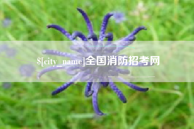 中卫全国消防招考网