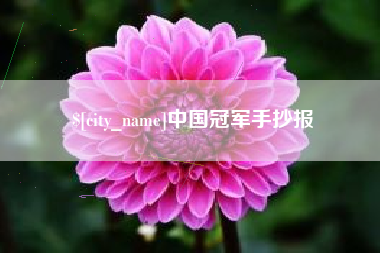 中卫中国冠军手抄报