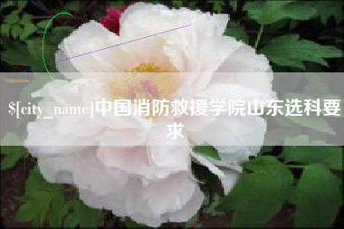 中卫中国消防救援学院山东选科要求
