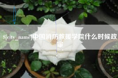 中卫中国消防救援学院什么时候政审