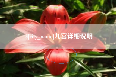中卫九宫详细说明