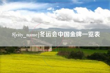 中卫冬运会中国金牌一览表