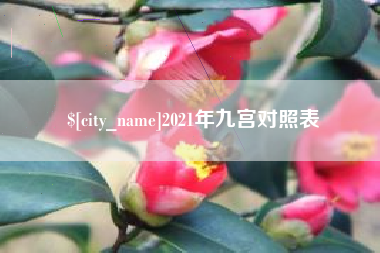 中卫2021年九宫对照表