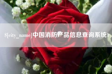 中卫中国消防产品信息查询系统1