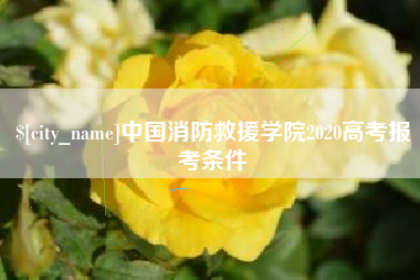 中卫中国消防救援学院2020高考报考条件