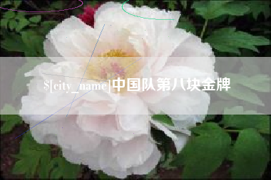 中卫中国队第八块金牌