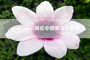 中卫现在中国哪几个金牌
