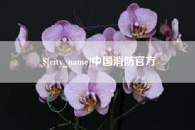 中卫中国消防官方