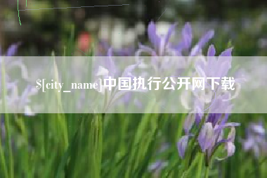 中卫中国执行公开网下载