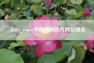 中卫中国消防官方网站域名