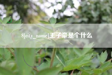 中卫王子豪是个什么