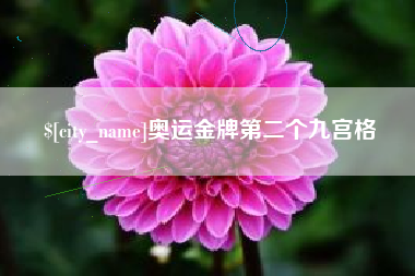 中卫奥运金牌第二个九宫格