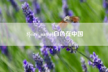 中卫白色在中国