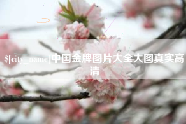 中卫中国金牌图片大全大图真实高清