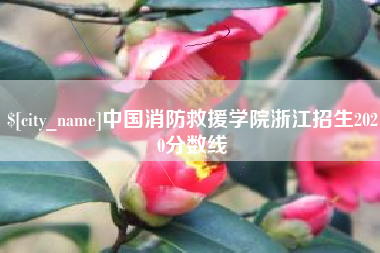 中卫中国消防救援学院浙江招生2020分数线