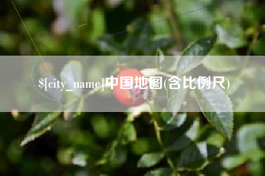 中卫中国地图(含比例尺)