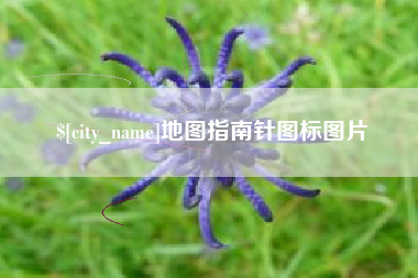 中卫地图指南针图标图片