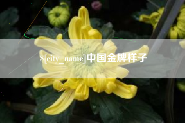 中卫中国金牌样子