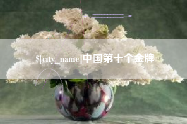 中卫中国第十个金牌