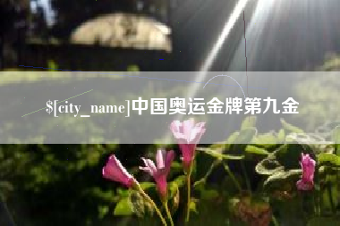 中卫中国奥运金牌第九金