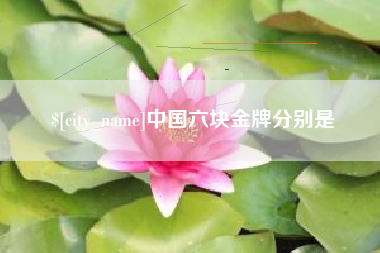 中卫中国六块金牌分别是