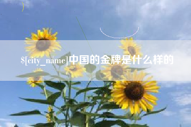 中卫中国的金牌是什么样的