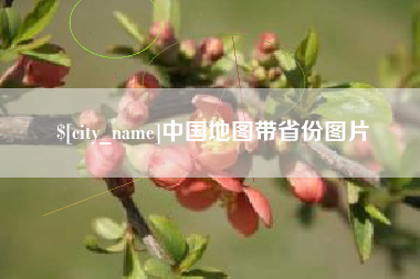 中卫中国地图带省份图片