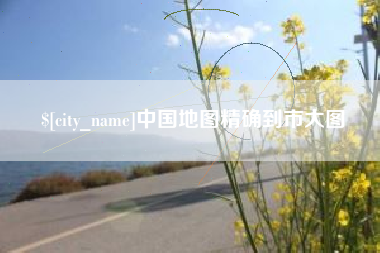 中卫中国地图精确到市大图