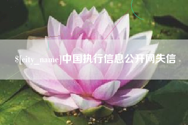 中卫中国执行信息公开网失信