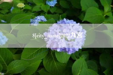 中卫2022九宫