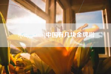 中卫中国有几块金牌啦