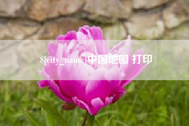 中卫中国地图 打印