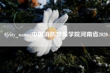 中卫中国消防救援学院河南省2020